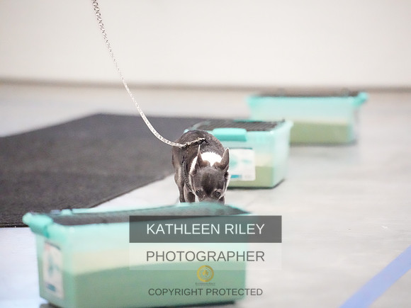 TSK07256