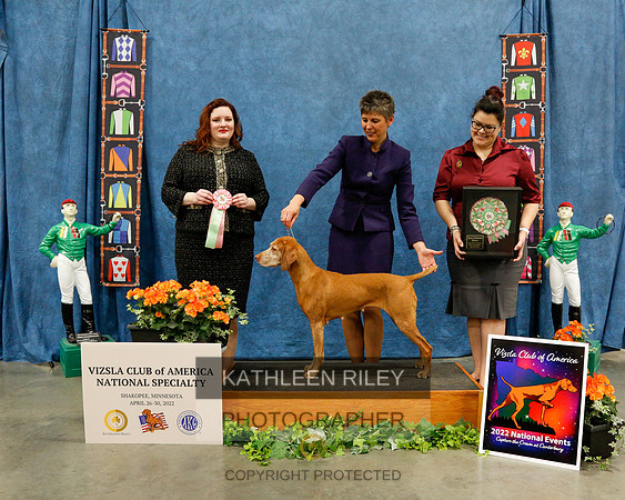 2022-KathleenRileyPhotography-7207