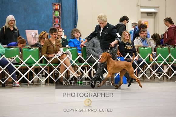 2022-KathleenRileyPhotography-8614