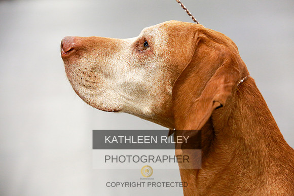 2022-KathleenRileyPhotography-8052