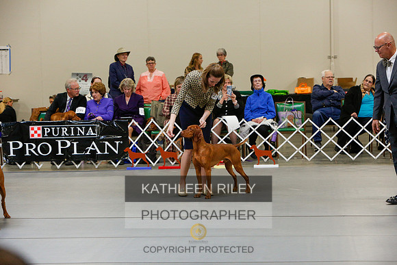 2022-KathleenRileyPhotography-5909