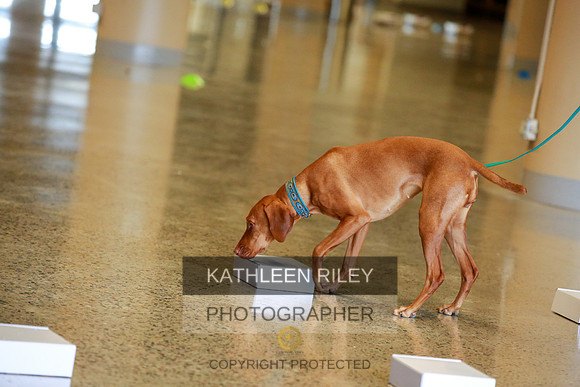 2022-KathleenRileyPhotography-7545