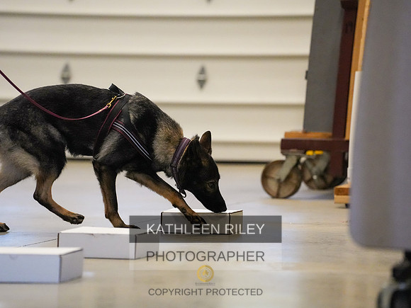 2022-KathleenRileyPhotography-03868