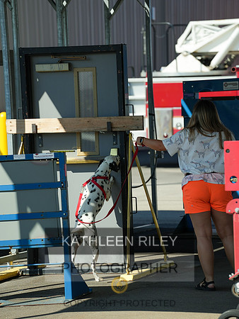2022-KathleenRileyPhotography-03950