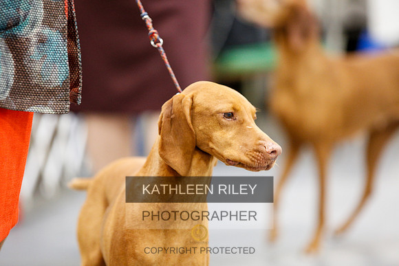 2022-KathleenRileyPhotography-2346