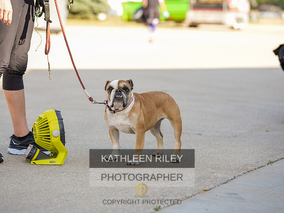 2022-KathleenRileyPhotography-03732