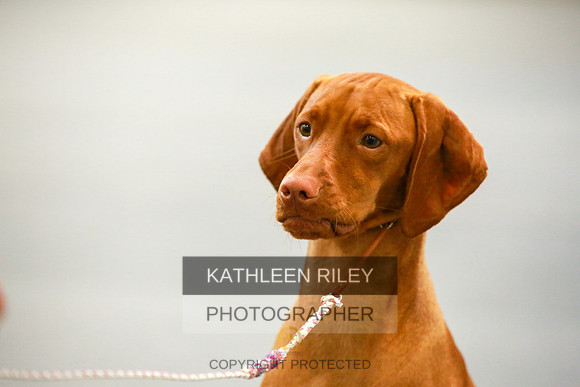 2022-KathleenRileyPhotography-8875
