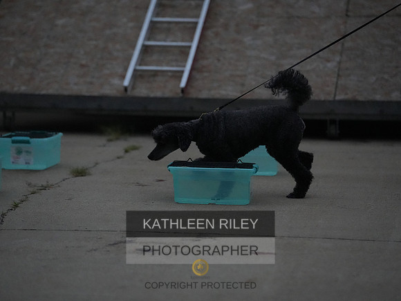 2022-KathleenRileyPhotography238