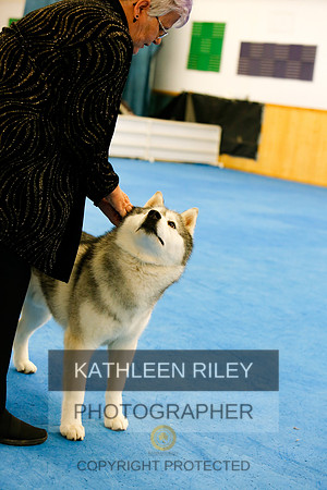 2022-KathleenRileyPhotography-7949