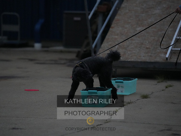 2022-KathleenRileyPhotography243