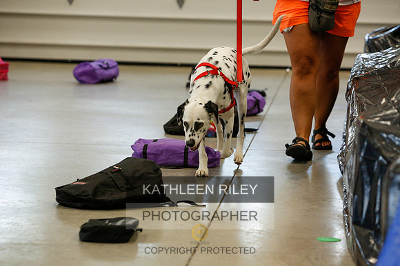 2022-KathleenRileyPhotography-4867