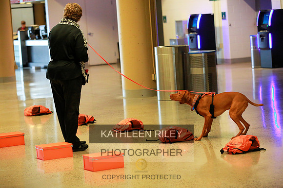 2022-KathleenRileyPhotography-7477
