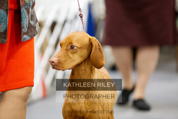 2022-KathleenRileyPhotography-2344