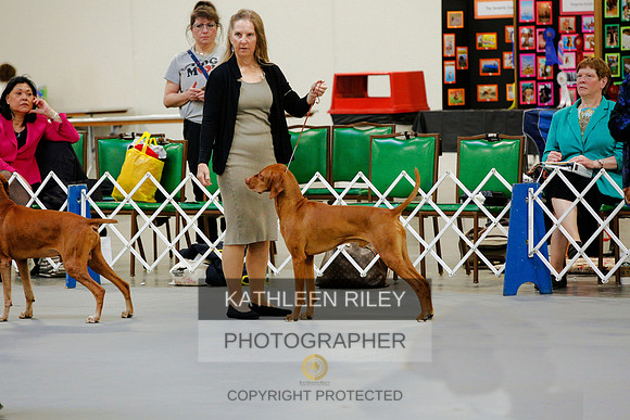 2022-KathleenRileyPhotography-1365 (1) (1)
