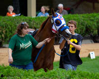 Tres My Tracks AQHA at Canterbury Park