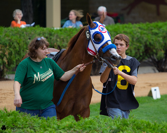 Tres My Tracks AQHA at Canterbury Park