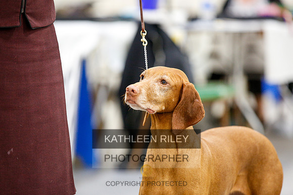 2022-KathleenRileyPhotography-2349