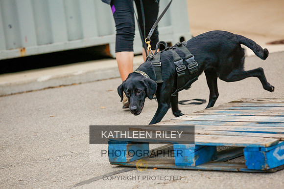 2022-KathleenRileyPhotography-7593