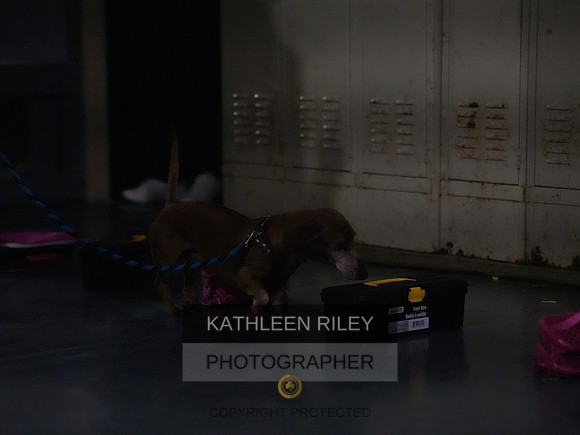 2022-KathleenRileyPhotography168