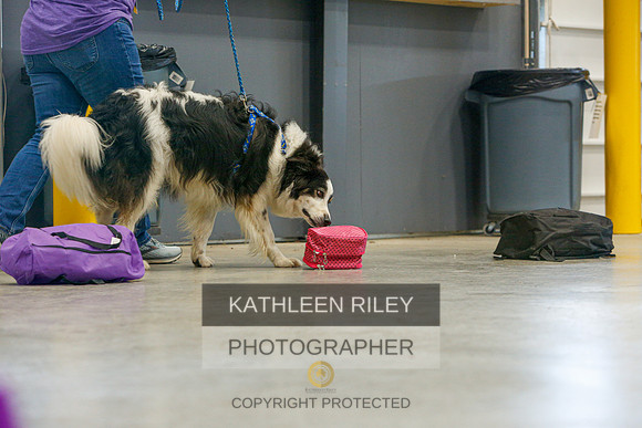 2022-KathleenRileyPhotography-5259