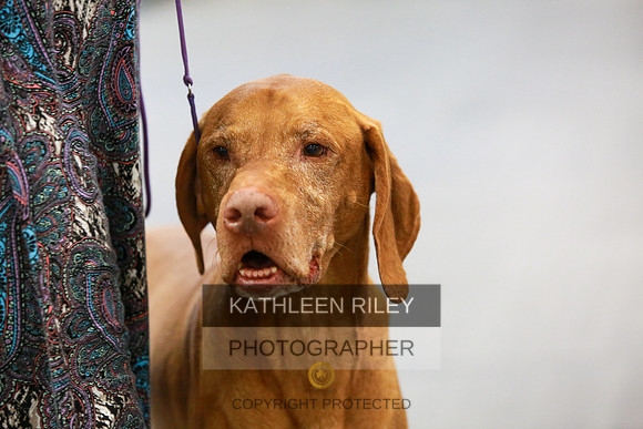 2022-KathleenRileyPhotography-7902