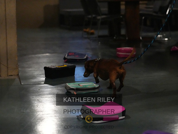 2022-KathleenRileyPhotography161