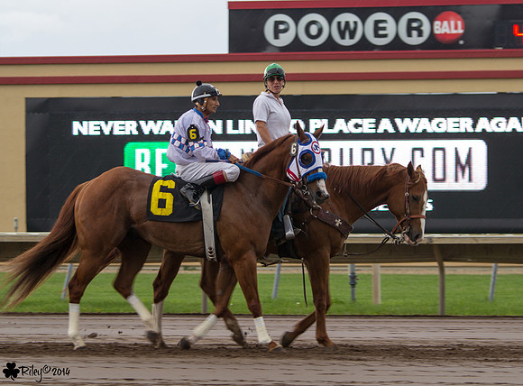 Jorge Torres on Tres My Tracks AQHA at Canterbury Park