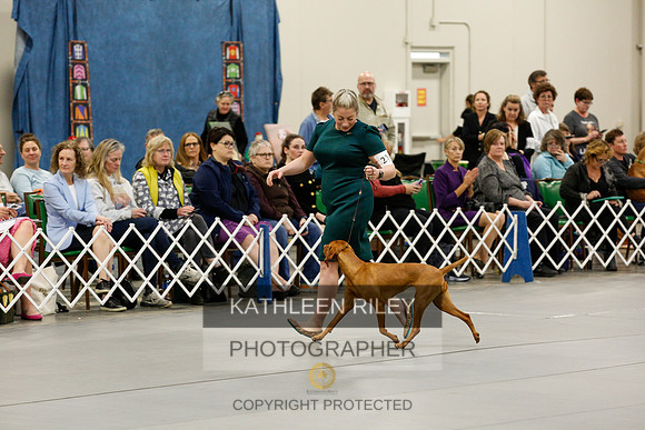 2022-KathleenRileyPhotography-1249