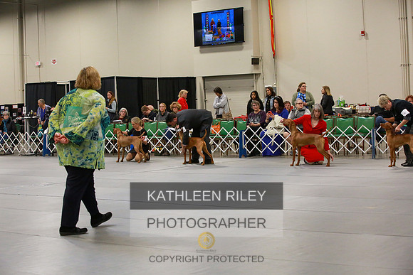 2022-KathleenRileyPhotography-8538