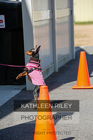 2022-KathleenRileyPhotography-4202