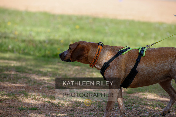 2022-KathleenRileyPhotography-3879