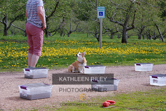 2022-KathleenRileyPhotography-8603
