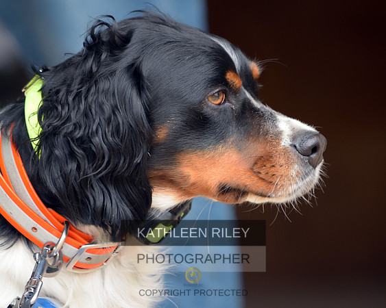 2021-04-23-AmyKleine-7509