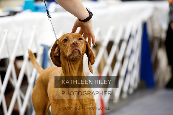 2022-KathleenRileyPhotography-2337