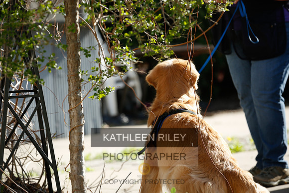 2022-KathleenRileyPhotography-2639