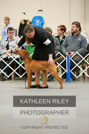 2022-KathleenRileyPhotography-8540