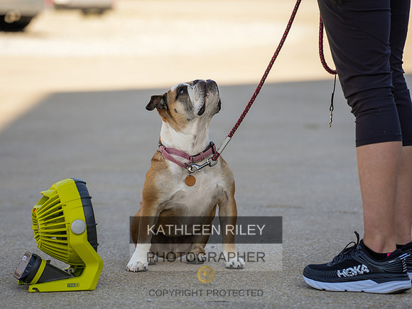 2022-KathleenRileyPhotography-03736