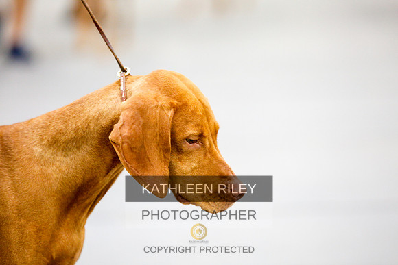 2022-KathleenRileyPhotography-2334