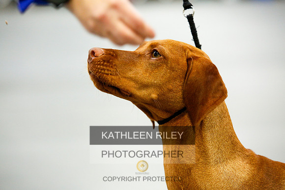 2022-KathleenRileyPhotography-9791