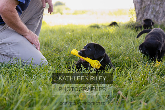 2022-KathleenRileyPhotography-7881