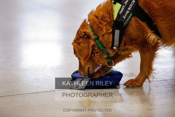 2022-KathleenRileyPhotography-7368