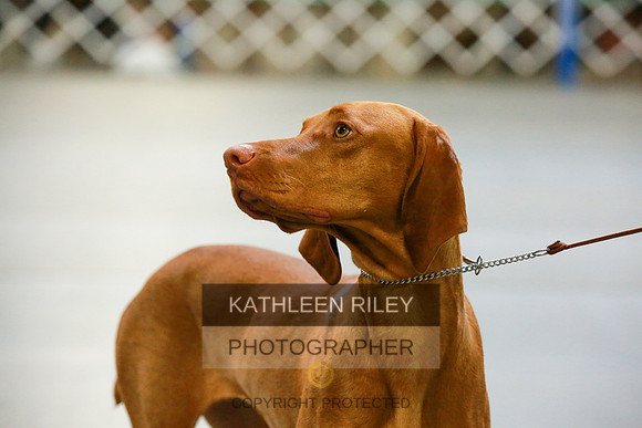 2022-KathleenRileyPhotography-8812