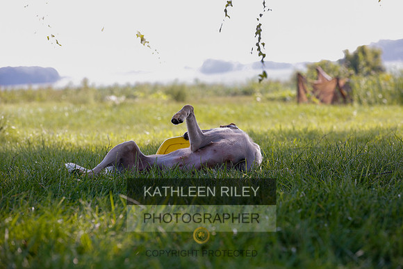 2022-KathleenRileyPhotography-7945