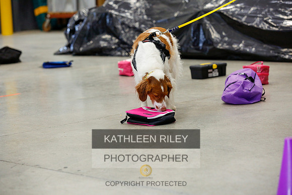 2022-KathleenRileyPhotography-7207