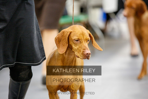 2022-KathleenRileyPhotography-2333