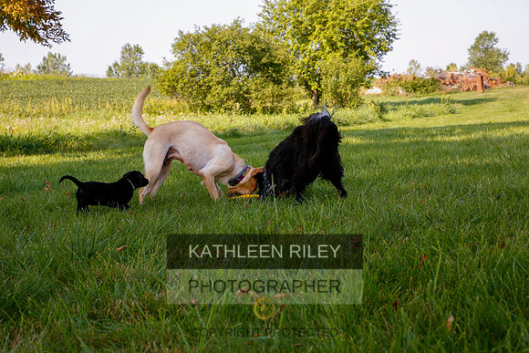 2022-KathleenRileyPhotography-5543