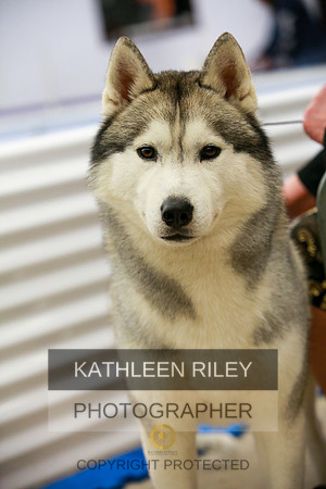 2022-KathleenRileyPhotography-5754
