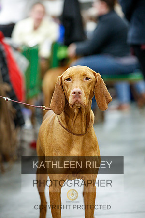 2022-KathleenRileyPhotography-1220
