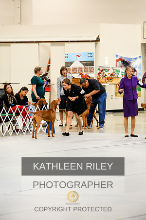 2022-KathleenRileyPhotography-1056