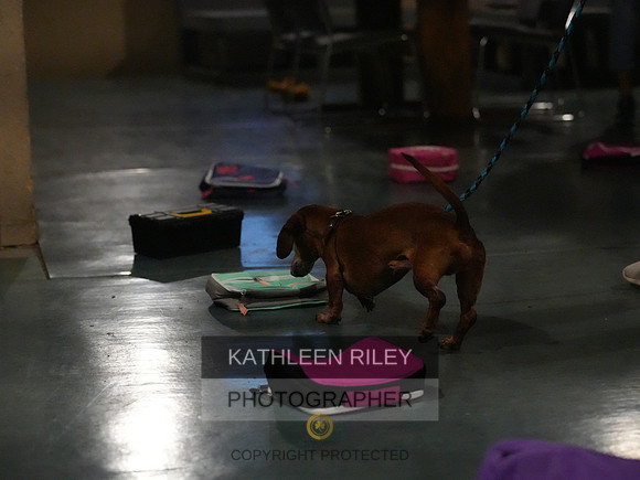 2022-KathleenRileyPhotography159